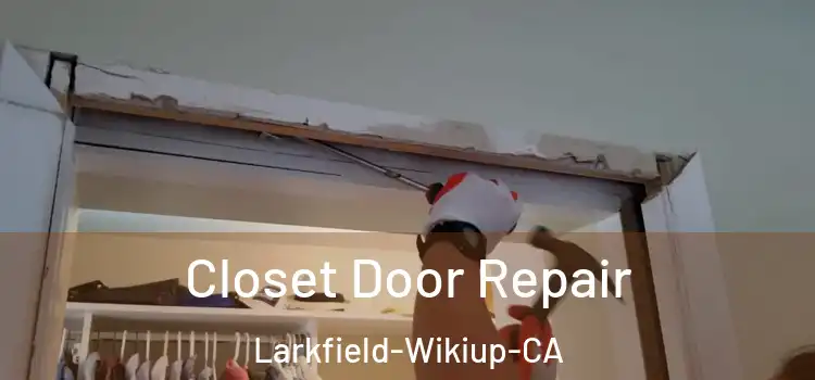 Closet Door Repair Larkfield-Wikiup-CA