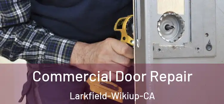  Commercial Door Repair Larkfield-Wikiup-CA
