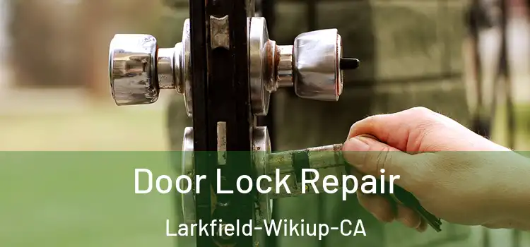 Door Lock Repair Larkfield-Wikiup-CA
