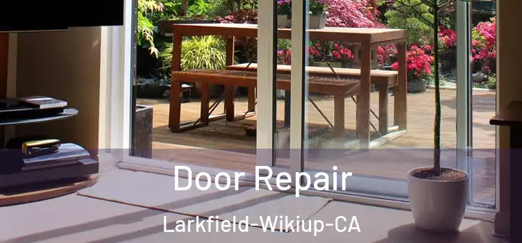  Door Repair Larkfield-Wikiup-CA