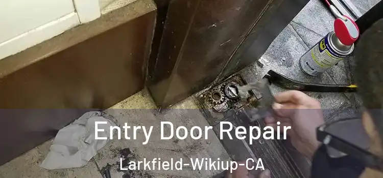  Entry Door Repair Larkfield-Wikiup-CA