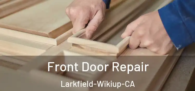  Front Door Repair Larkfield-Wikiup-CA