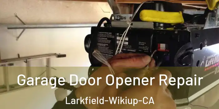 Garage Door Opener Repair Larkfield-Wikiup-CA