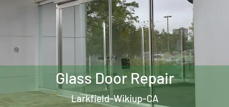  Glass Door Repair Larkfield-Wikiup-CA