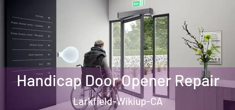  Handicap Door Opener Repair Larkfield-Wikiup-CA