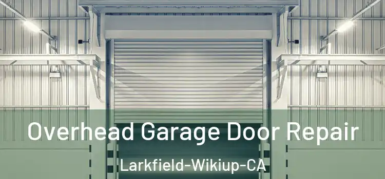  Overhead Garage Door Repair Larkfield-Wikiup-CA