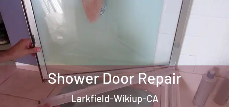  Shower Door Repair Larkfield-Wikiup-CA