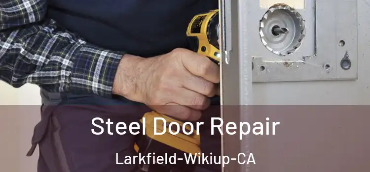  Steel Door Repair Larkfield-Wikiup-CA