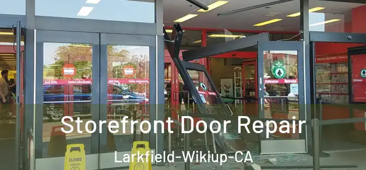  Storefront Door Repair Larkfield-Wikiup-CA